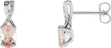 Accented Earrings