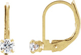Youth Accented Earrings