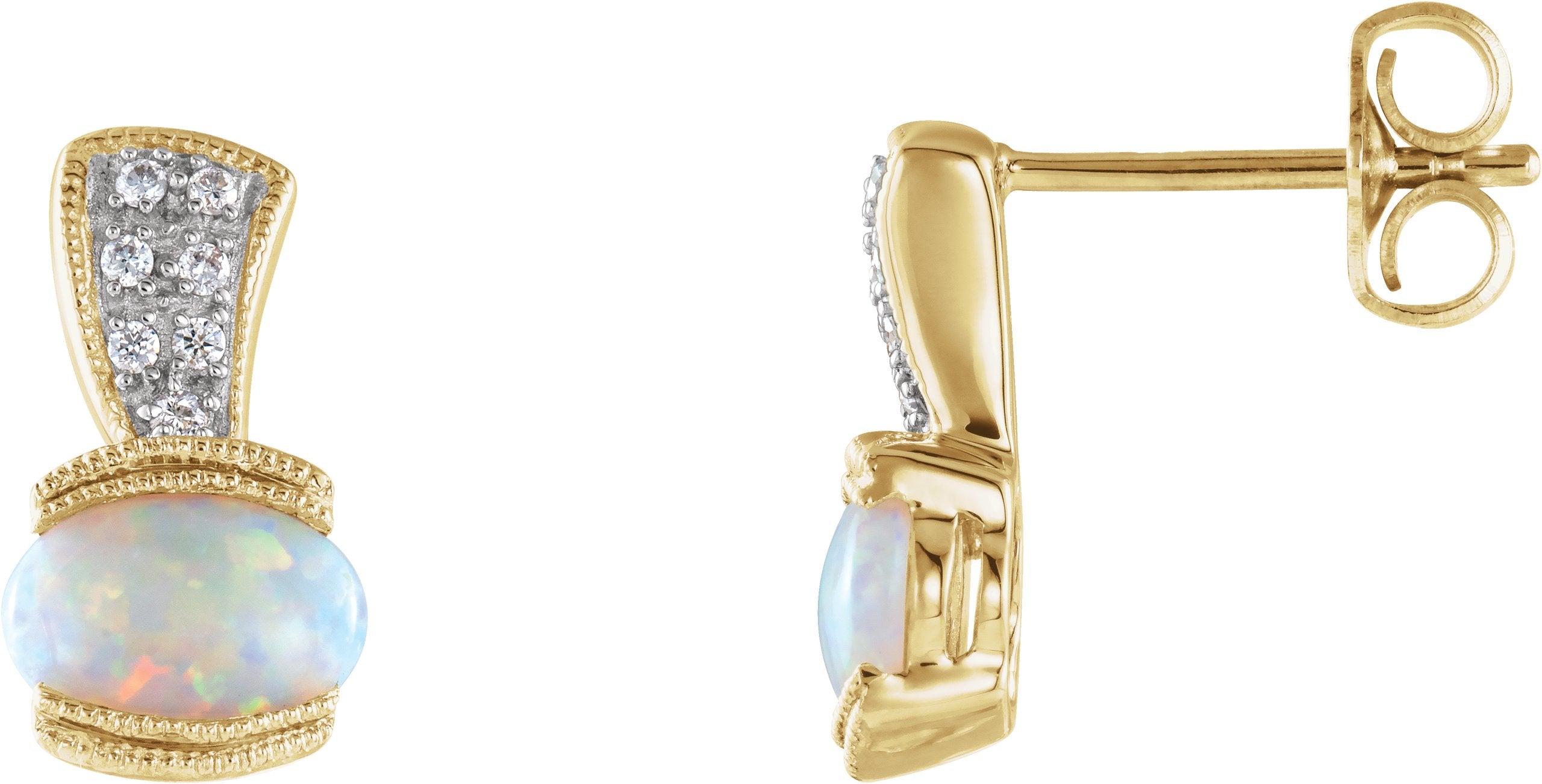 Accented Earrings
