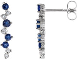 Accented Earrings