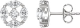 Accented Earrings