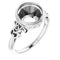 Palladium 9mm Round Ring Mounting